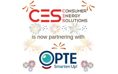 Energy Efficient Smart Homes and Commercial Buildings—What is CES Up to Now?