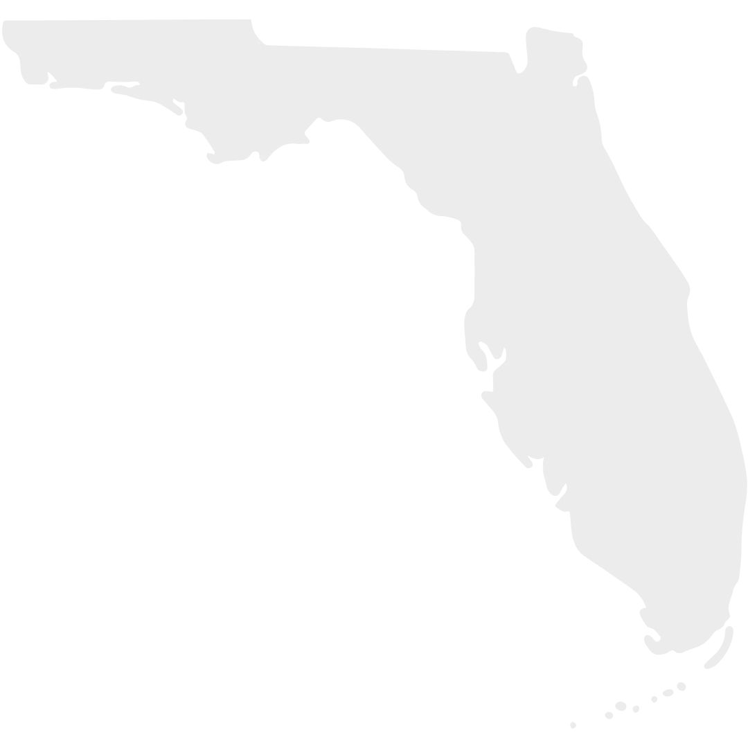 8 Florida state outline